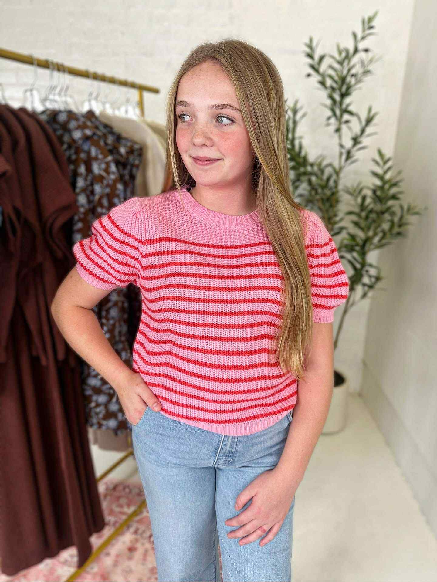 Lauren Sweater Top in Pink Stripe